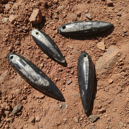Orthocéras du Maroc, pendentif qualité AAA