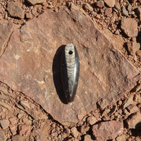 1 - 57x17mm