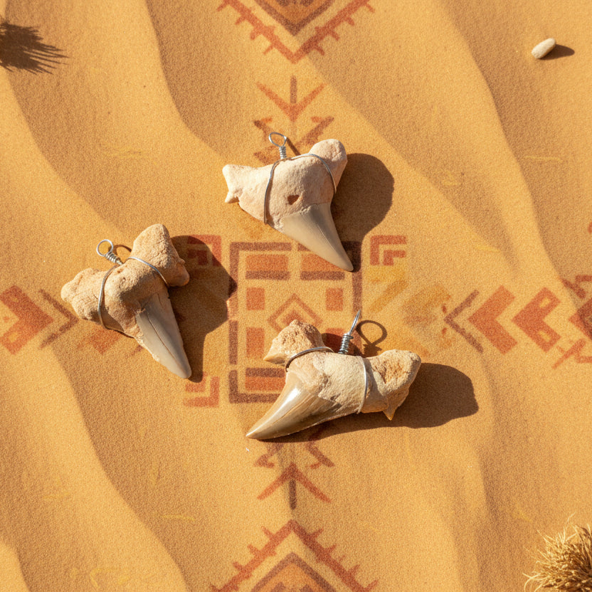 Dents Fossiles du Maroc, pour Pendentifs, PM.