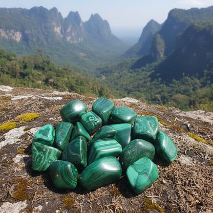 Malachite du Congo extra qualité, pierres roulées.