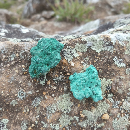 Malachite Fibreuse extra qualité, Congo. N°1 et 2.