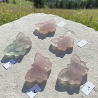 N°1 - 30x50mm