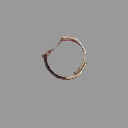 Bague réglable en Oeil de Tigre Afrique du Sud