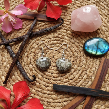 Boucles d'oreilles en Agate Fossile extra